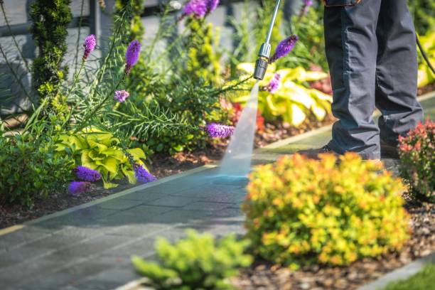 Best Dumpster Area Cleaning  in Culver City, CA